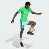 adidas Seattle Sounders FC 2026 The Evergreen State Authentic Jersey