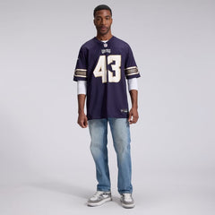 Nike Minnesota Vikings Andrew Van Ginkel 2026 Rivalries Game Jersey