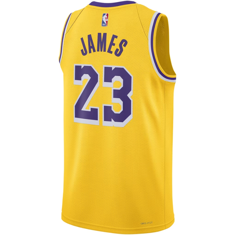 Los Angeles Lakers Yellow & Purple Icon Edition Basketball Jersey (James)