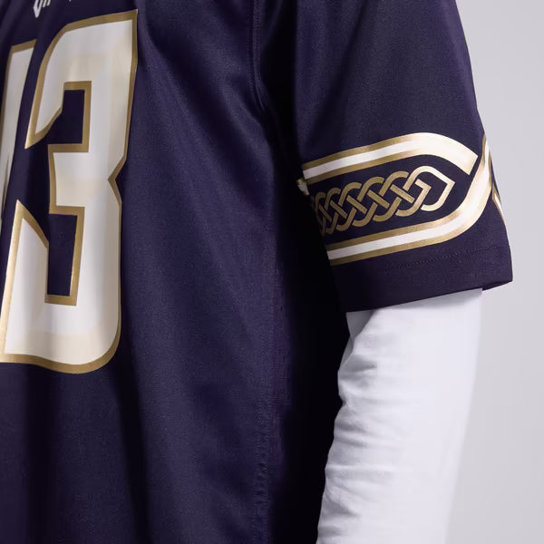Nike Minnesota Vikings Andrew Van Ginkel 2026 Rivalries Game Jersey