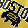 Fanatics Boston Bruins 2026 NHL Stadium Series Premium Custom Jersey