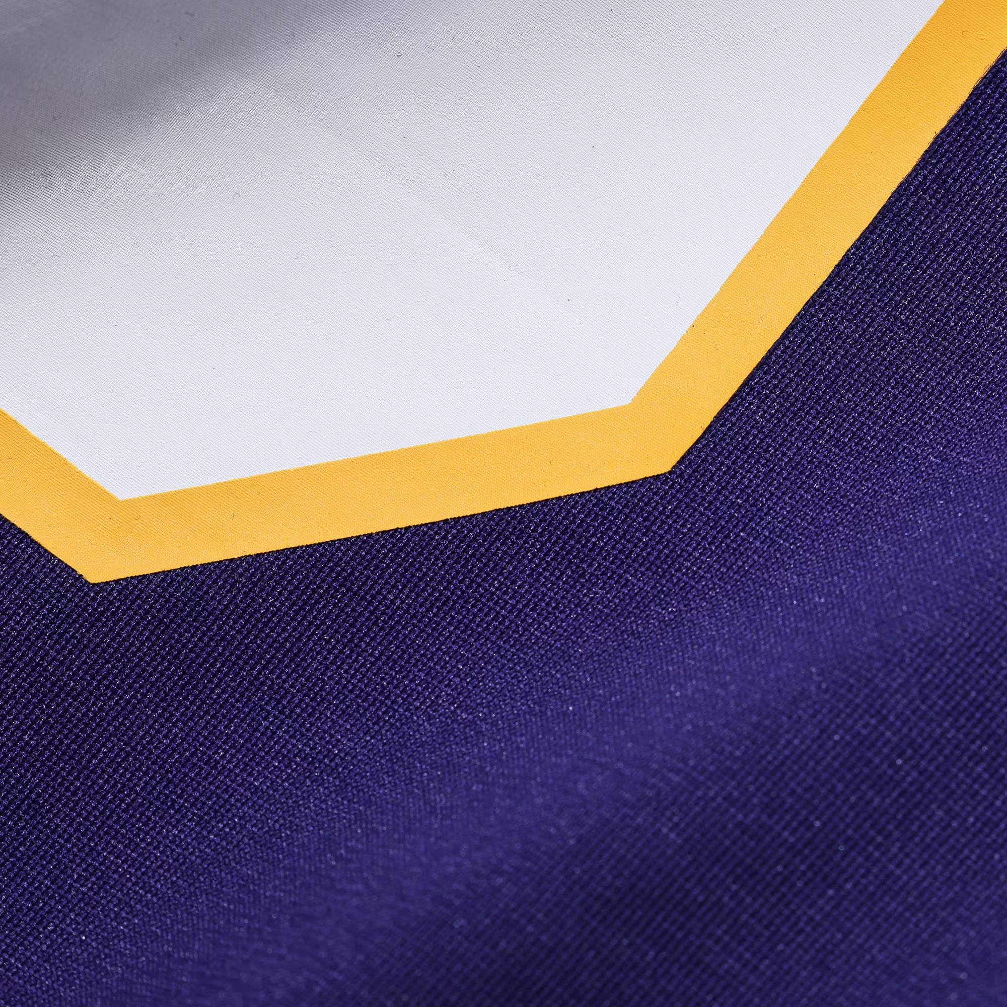 Nike Minnesota Vikings Classic Custom Game Jersey